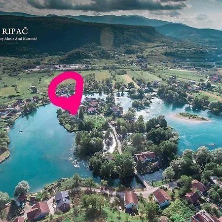 Apartman Tesnim